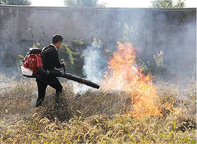 1761115771685078.png 圖片28.png